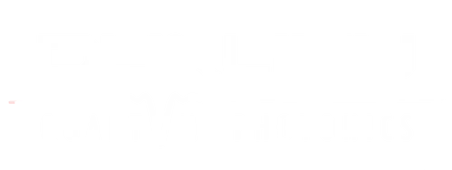 Duality logo